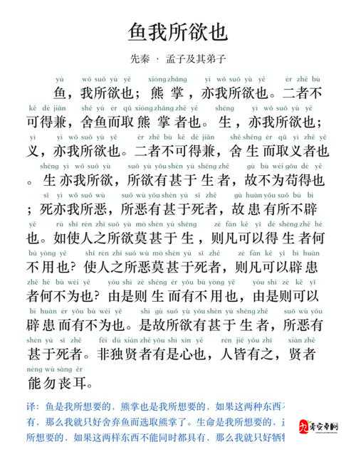 渔女泪流成河时，我们究竟在窥视什么？