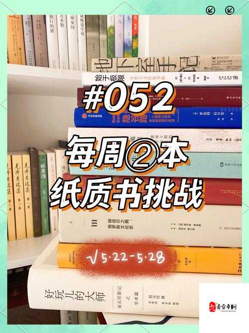 xinbke-i-wngzhn-chengninbn：在边界处寻找平衡：数字空间的自我觉醒与价值观重