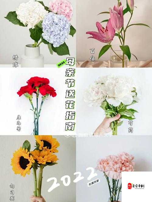 泪目推荐！母亲节花语全解析_送花避坑指南｜这份花单让我直接省钱30%