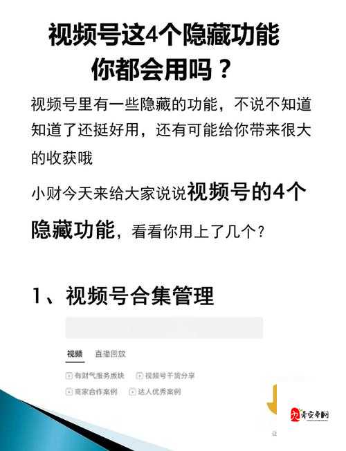 揭秘隐藏宝藏！轻松获取精美视频资源的5个高效方法