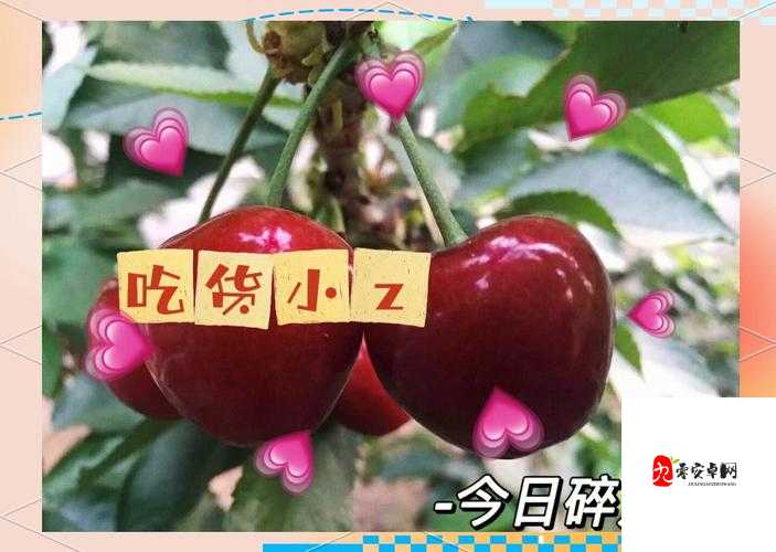 ♥樱桃视频♥免费观看｜年轻人社交新密码：用短视频打开生活美学新纪元